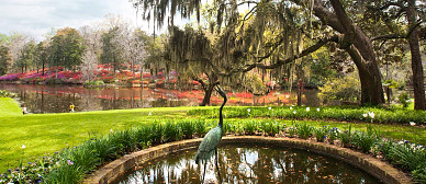 Summer Road Trip: Gardens
