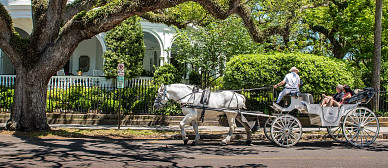 Weekend Getaway to Downtown Charleston