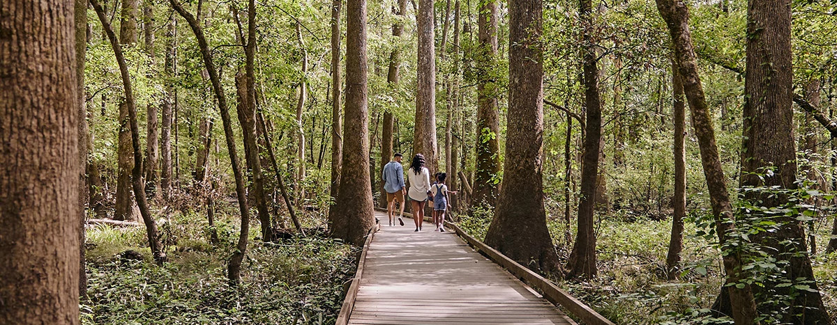 family walking in Congaree National Park