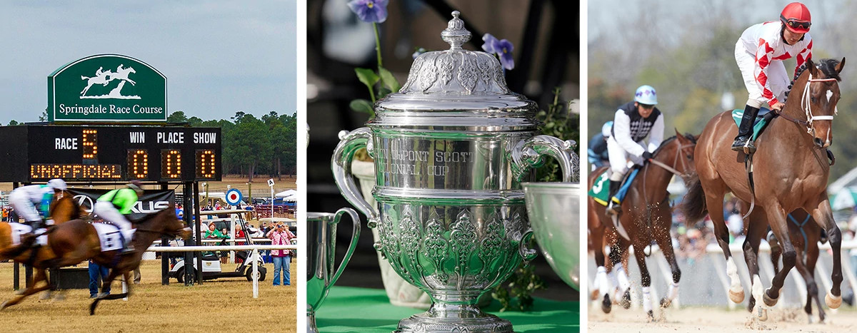 Horses, Carolina Cup