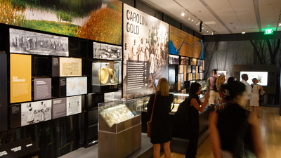 inside the IAAM