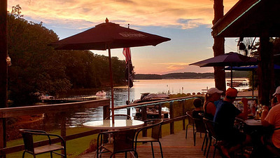 tiger cove anderson