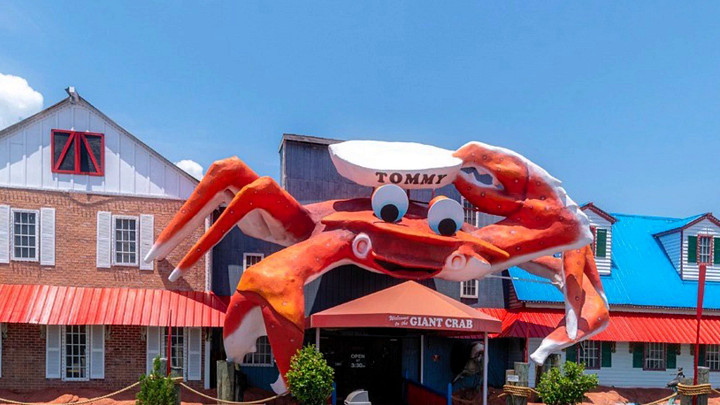 Tommy the giant crab 