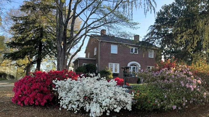 Magnolia Hill 