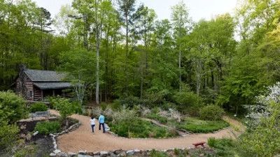Path to cabin