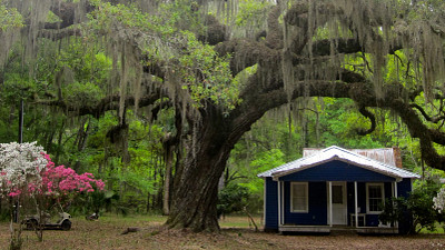 Daufuskie Island