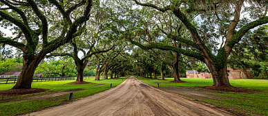 Lowcountry Gullah Heritage Tour