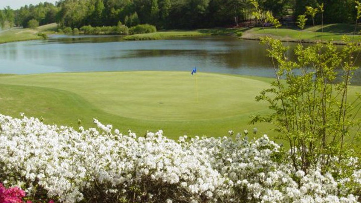 The Preserve at Verdae