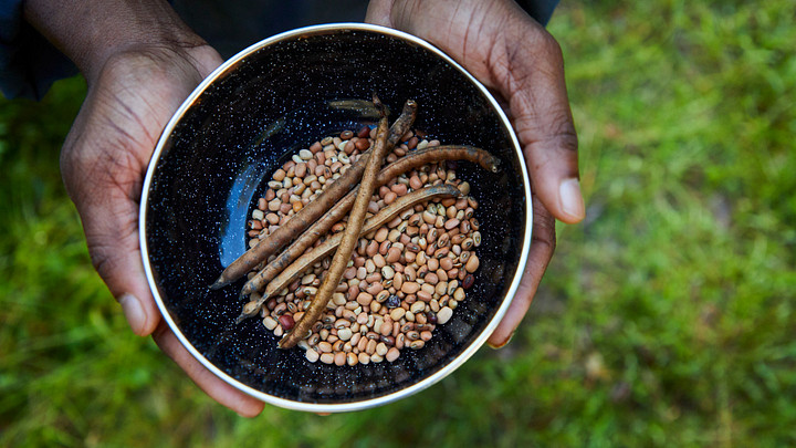 bowl of Sea Island red peas