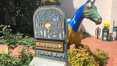 aiken shopping