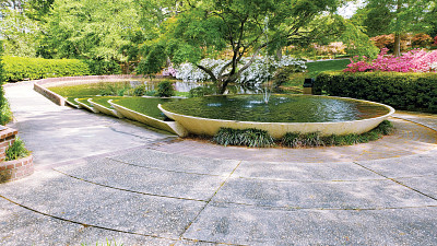water fountain and trees